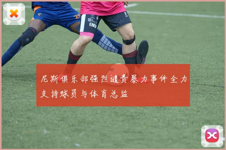 尼斯俱乐部强烈谴责暴力事件全力支持球员与体育总监