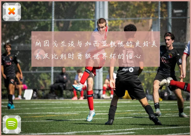 纳因戈兰谈与加西亚教练的良好关系及比利时晋级世界杯的信心