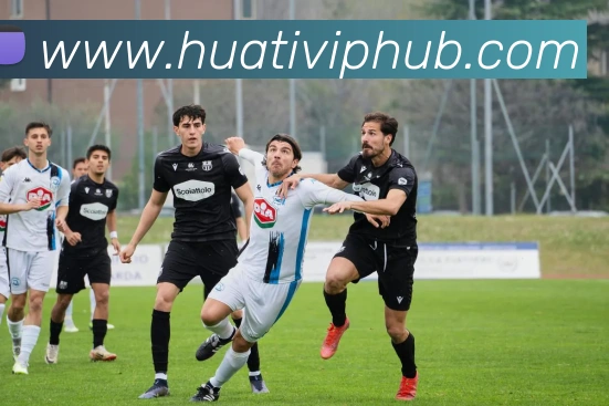 华体会体育APP 体育赛事宣传图